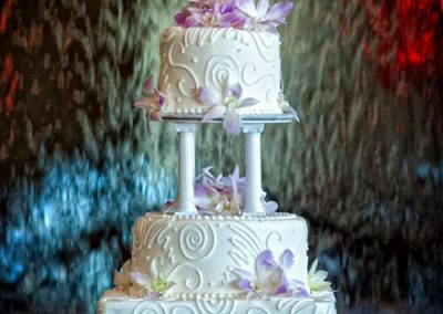 Photographer's Cakes