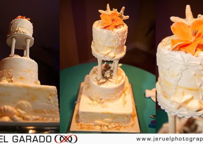 Photographer's Cakes