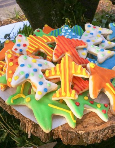 Cupcakes and Cookies