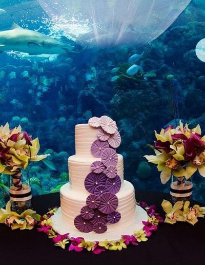 Gumpaste Flowers and Bows